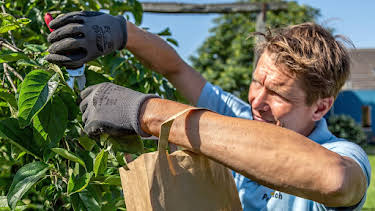 16:00: Rasch durch den Garten | NDR Fernsehen | 8/1 2026