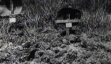 The World at War (S1 E14)