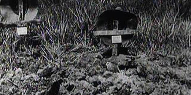 5:00 PM: The World at War (S1 E14) (S1) | Yesterday | 11/20 2025