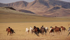 Länder - Menschen - Abenteuer