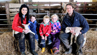 12:20 PM: Down on the Farm (S2) | Cbeebies | 8/2 2026