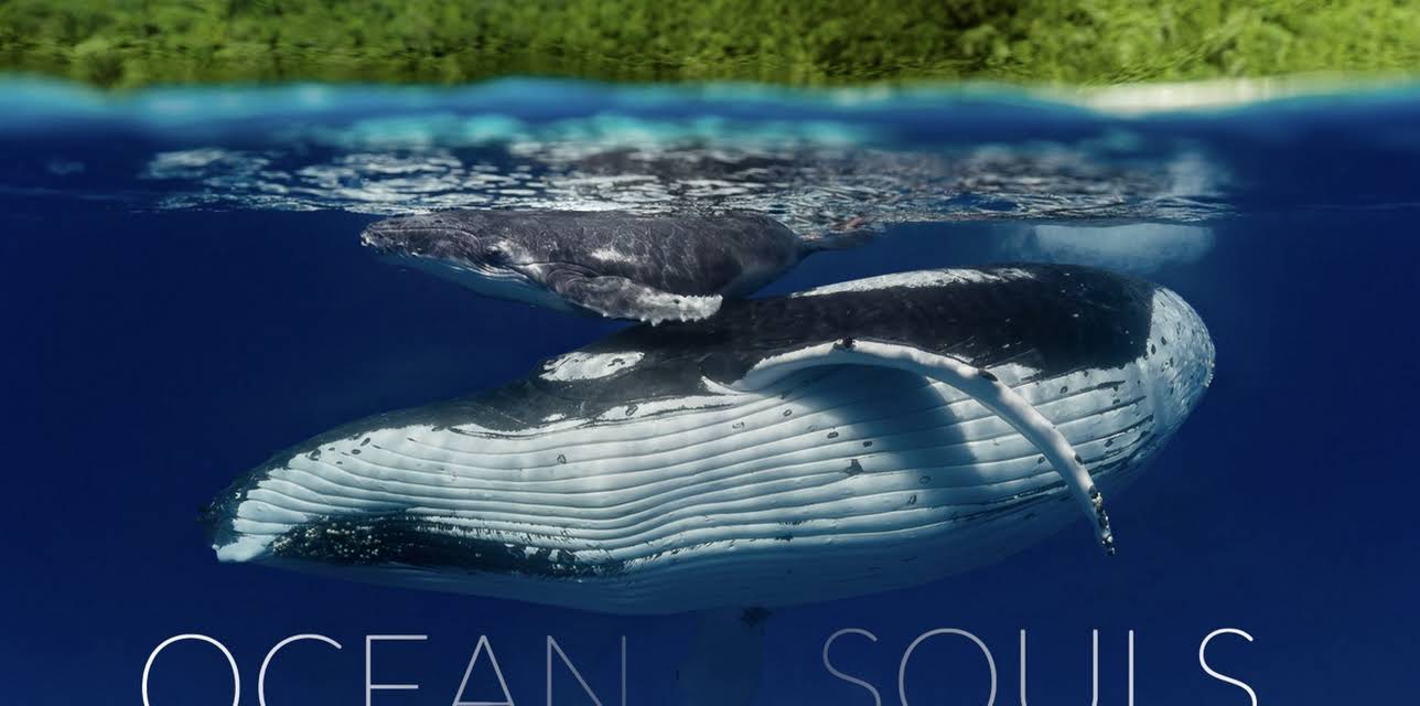 Ocean Souls (2025)