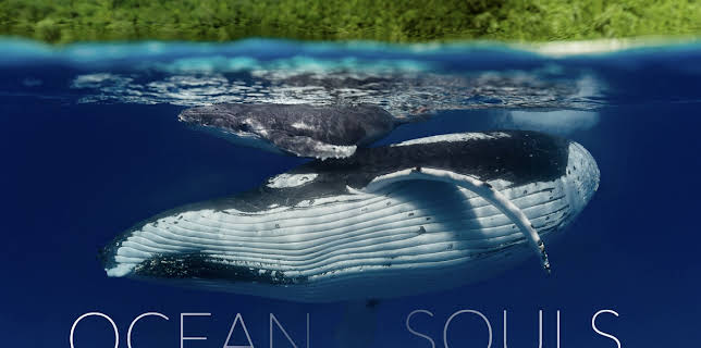 Ocean Souls (2025)