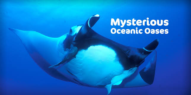 Mysterious Oceanic Oases (2013)