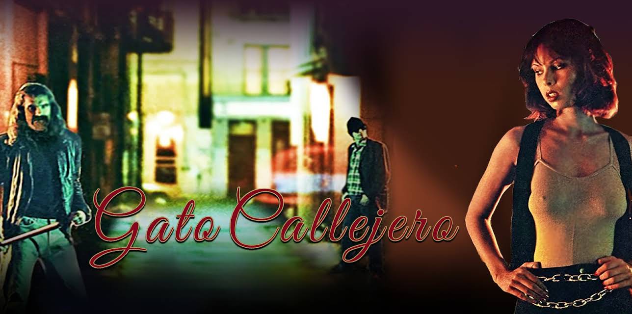 Gato Callejero (1984)