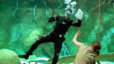 13:10: Leipzigs Unterwasserwelt - Das neue Zoo-Aquarium | MDR Fernsehen | 4/3 2026