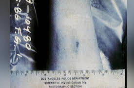 Finally Caught S1: Rasmussen