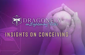 Dragonfly Conference: Insights on Conceiving