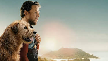 10:40 PM: Arthur the King | BBC One East | 8/25 2026