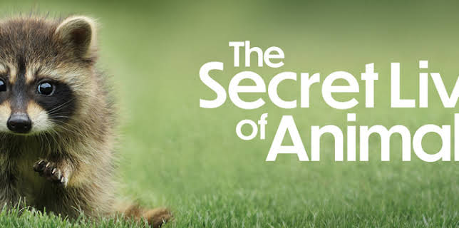 The Secret Lives of Animals
