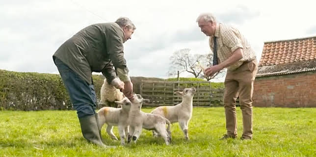 9:00 AM: The Yorkshire Vet (S15 E4) (S15) | 5 Select | 3/24 2026