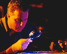 CSI: Den Tätern auf der Spur