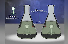 Unlocking the Hidden History of DNA: The Quest for DNA’s Structure