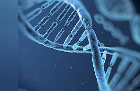 Redefining Reality: The Intellectual Implications of Modern Science: Genes and Identity