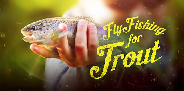 Fly Fishing for Trout with Harry Murray (2010)