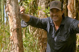 Wild Croc Territory: Un cocodrilo escurridizo