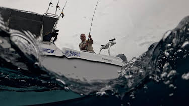 20:15: Giganten unter Wasser - Riesenfischen auf der Spur | Kabel Eins Doku | 10/11 2025