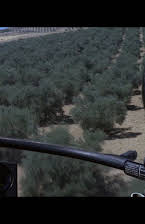 Henry Woolf as Penguin Man