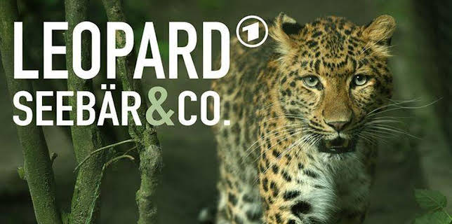 17:10: Leopard, Seebär & Co. (182) | NDR Fernsehen | 11/6 2025