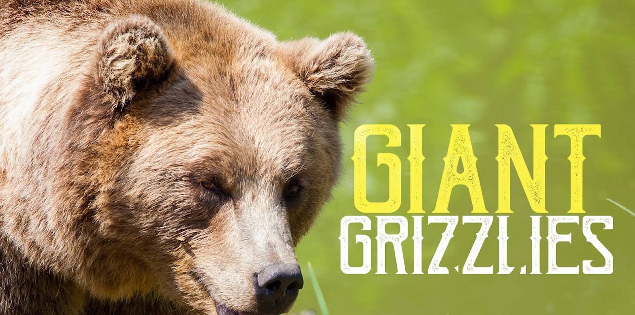 Giant Grizzlies (2012)