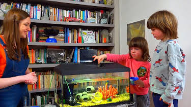 6:25 PM: Peataichean/Pets (S1 E6) (S1) | BBC Alba | 1/19 2026