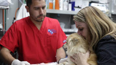 3:00 PM: Dr. Jeff: Rocky Mountain Vet (S7) | Discovery Channel | 9/7 2026
