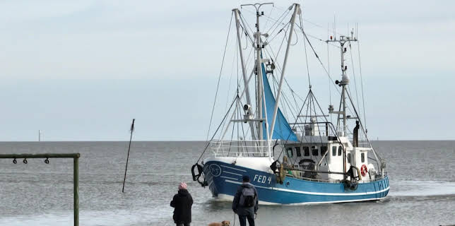 17:15: Nordseereport | NDR Fernsehen | 3/7 2026