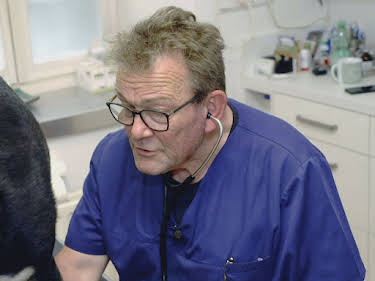 21:15: Die Tier-Docs! Pfotenhelden mit Herz | Sat1 Gold | 9/10 2026