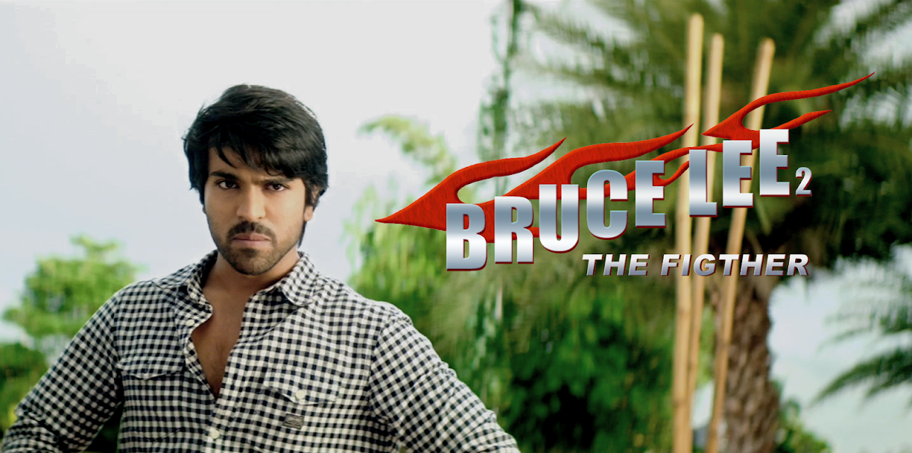Bruce Lee 2 The Fighter (2015)