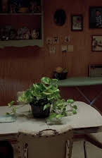 Natalie Canerday como 