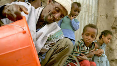 05:10: Die Bienenflüsterer | Arte | 12/29 2025