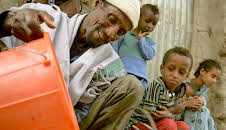 Die Bienenflüsterer