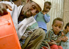 Die Bienenflüsterer