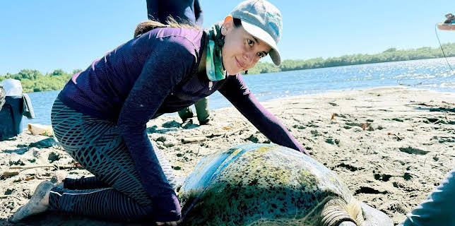 03:45: El Salvador | Arte | 11/10 2025