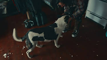 11:00 PM: Northwoods Survival | Nat Geo Wild | 12/29 2025