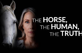 The Horse, the Human, the Truth: Part 2: Violence's Hidden Echo