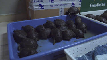 1:00 AM: Border Control: Europe (S1) | Discovery Channel | 4/7 2026