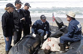 Navy CIS: Episode 24