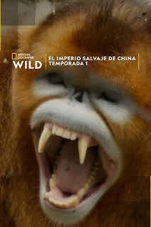 18:00: El imperio salvaje de China: Los intrépidos elefantes de Yunnan | Nat Geo Wild | 3/11 2026
