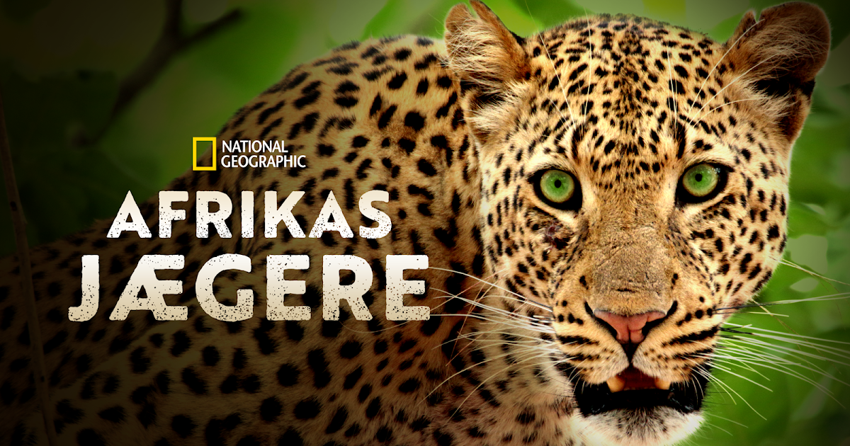29-12-15-05-afrikas-j-gere