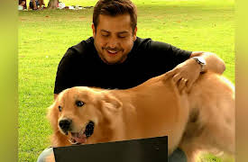 Petchannel Brasil: Pet Behavior Techniques