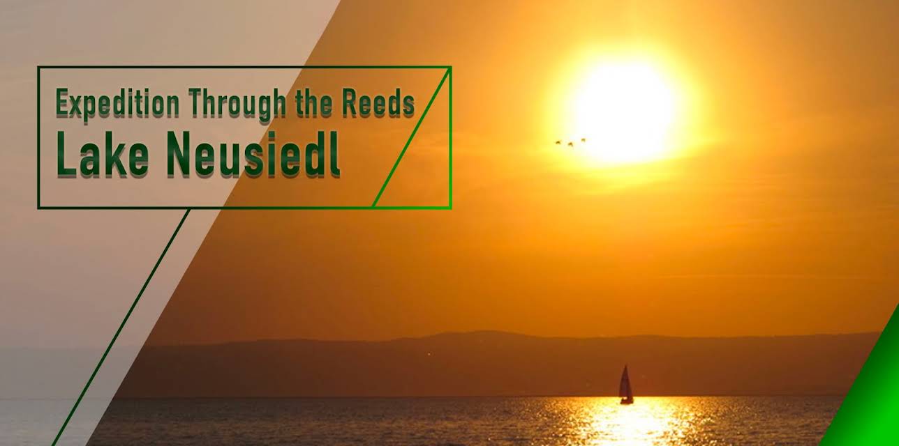 Expedition through the Reeds - Lake Neusiedl (2015)