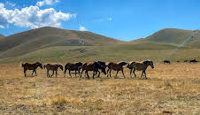 Im Herzen Italiens (2)