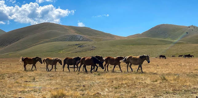 02:30: Im Herzen Italiens (2) | RBB Fernsehen | 11/26 2025