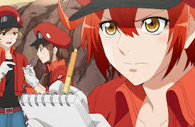 Season 1: Blood Circulation