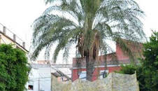 En el corazón de la fiesta