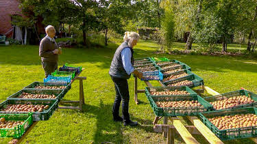 01:15: Die Nordreportage: Die Walnuss-Knacker | NDR Fernsehen | 4/2 2026