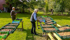 Die Nordreportage: Die Walnuss-Knacker