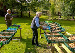 Die Nordreportage: Die Walnuss-Knacker