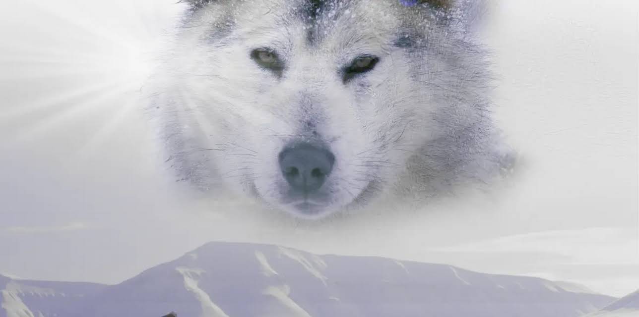 Ice Dogs The Only Companions Worth Having (2020)
